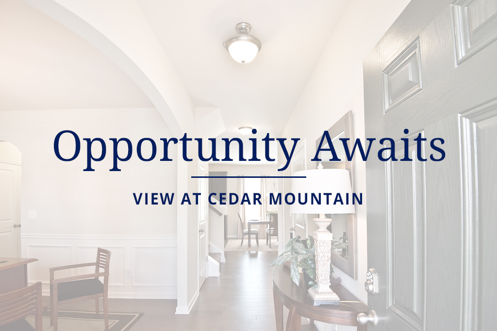 New home opportunities in View at Cedar Mountain