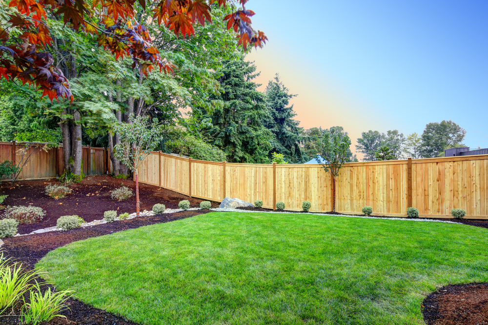 View of an attractive backyard with new planting beds and well kept lawn ©Artazum